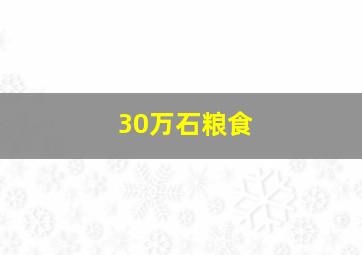 30万石粮食