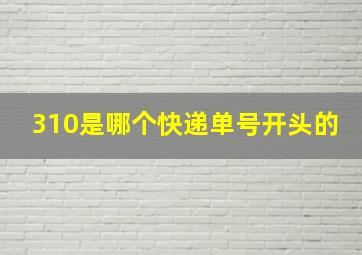 310是哪个快递单号开头的