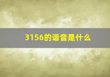 3156的谐音是什么