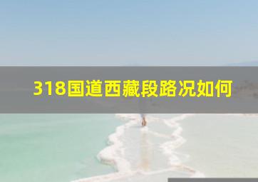 318国道西藏段路况如何