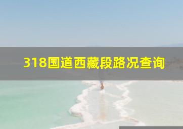 318国道西藏段路况查询