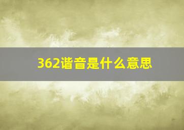 362谐音是什么意思