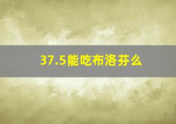 37.5能吃布洛芬么