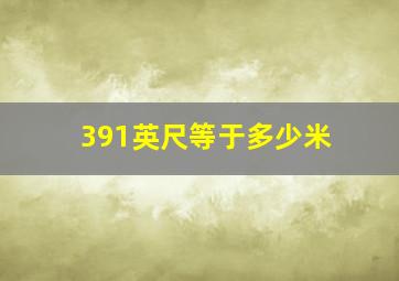 391英尺等于多少米