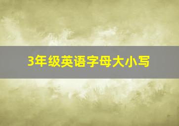 3年级英语字母大小写