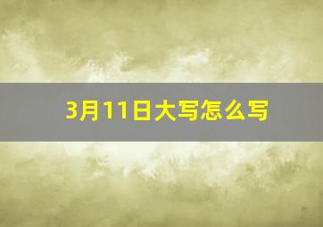 3月11日大写怎么写