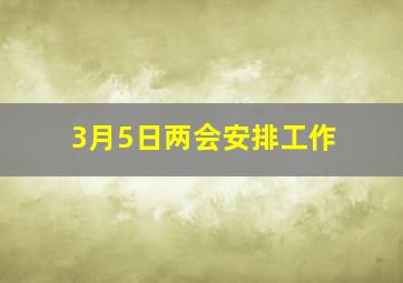 3月5日两会安排工作