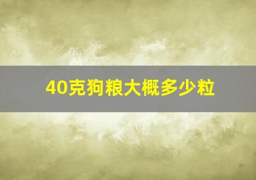 40克狗粮大概多少粒