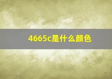 4665c是什么颜色