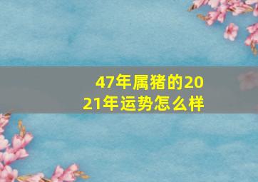 47年属猪的2021年运势怎么样