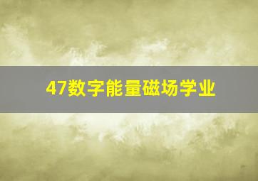 47数字能量磁场学业