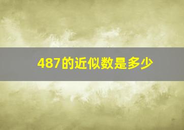 487的近似数是多少