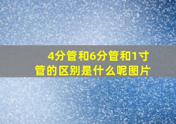 4分管和6分管和1寸管的区别是什么呢图片