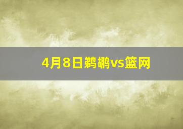 4月8日鹈鹕vs篮网