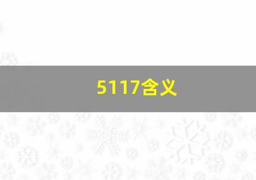 5117含义