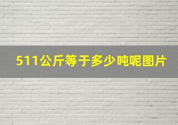 511公斤等于多少吨呢图片