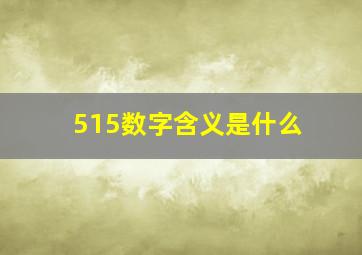 515数字含义是什么