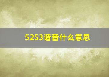 5253谐音什么意思