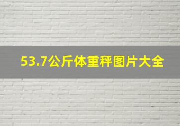 53.7公斤体重秤图片大全