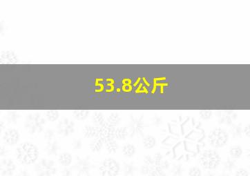 53.8公斤