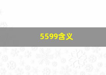 5599含义