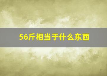 56斤相当于什么东西