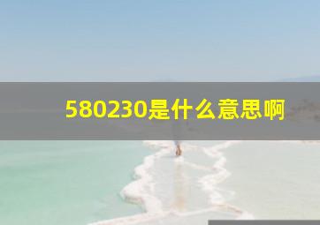 580230是什么意思啊