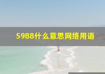 5988什么意思网络用语