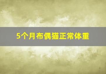 5个月布偶猫正常体重