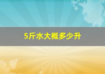 5斤水大概多少升