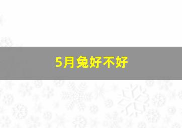 5月兔好不好