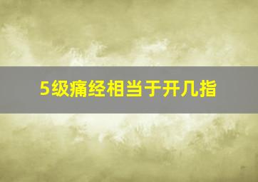 5级痛经相当于开几指