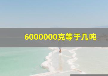 6000000克等于几吨