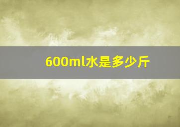 600ml水是多少斤