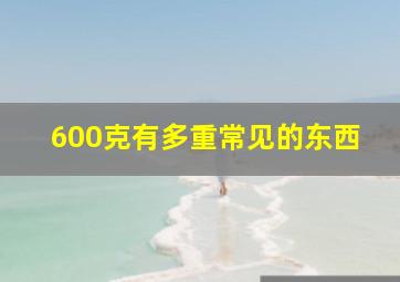 600克有多重常见的东西