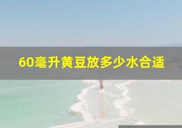 60毫升黄豆放多少水合适