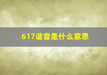 617谐音是什么意思