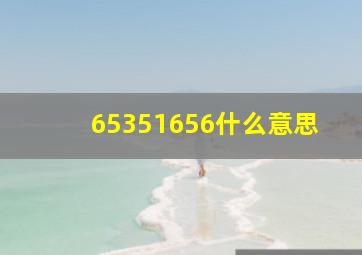 65351656什么意思