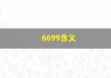 6699含义