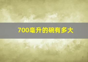 700毫升的碗有多大