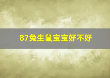 87兔生鼠宝宝好不好