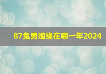 87兔男姻缘在哪一年2024