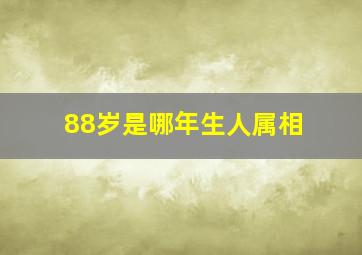 88岁是哪年生人属相