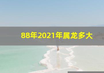 88年2021年属龙多大