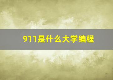 911是什么大学编程