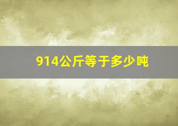 914公斤等于多少吨