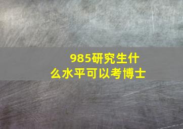 985研究生什么水平可以考博士