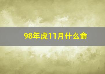 98年虎11月什么命