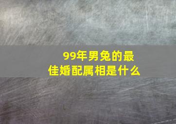 99年男兔的最佳婚配属相是什么