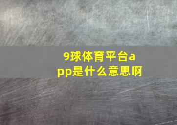 9球体育平台app是什么意思啊